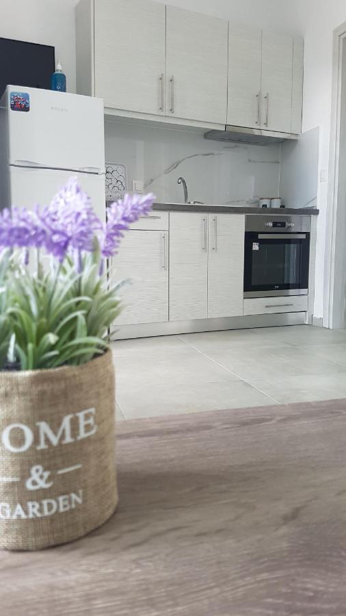 Erika Boutique Apartments Νικήτη Εξωτερικό φωτογραφία